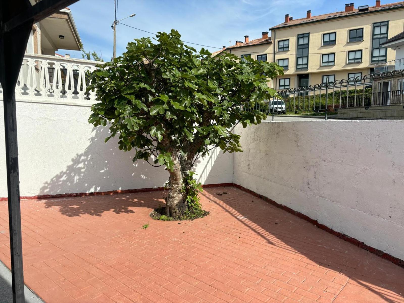 Casa De La Nina,Chalet Familiar Con Gran Terraza フィニステレ エクステリア 写真